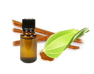 Cinnamon Bark essential oil